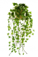 020 Veštaćke lozice   